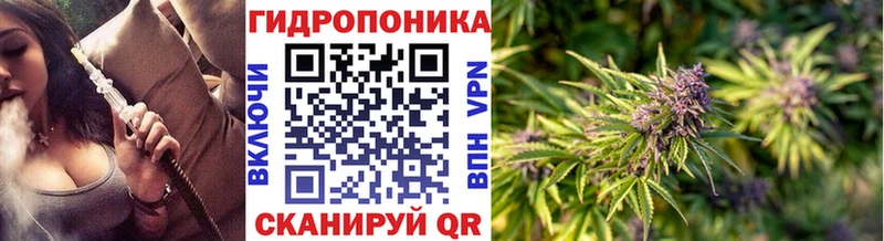 Бошки марихуана Amnesia Красноармейск